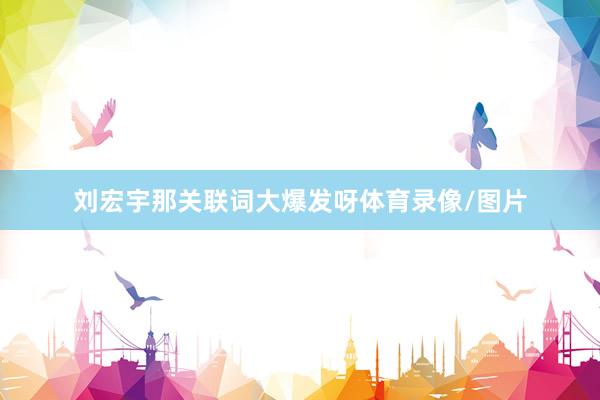 刘宏宇那关联词大爆发呀体育录像/图片