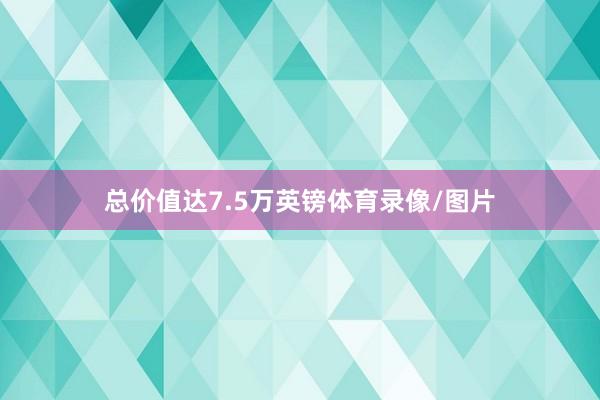 总价值达7.5万英镑体育录像/图片