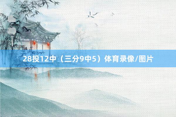 28投12中（三分9中5）体育录像/图片