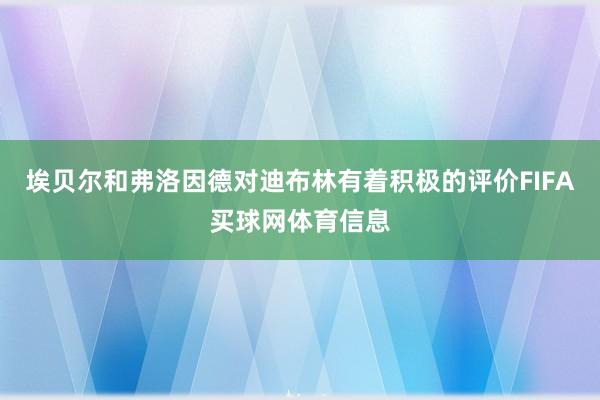 埃贝尔和弗洛因德对迪布林有着积极的评价FIFA买球网体育信息