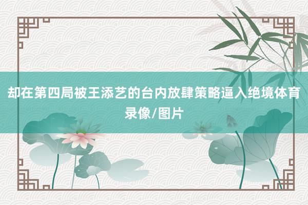 却在第四局被王添艺的台内放肆策略逼入绝境体育录像/图片