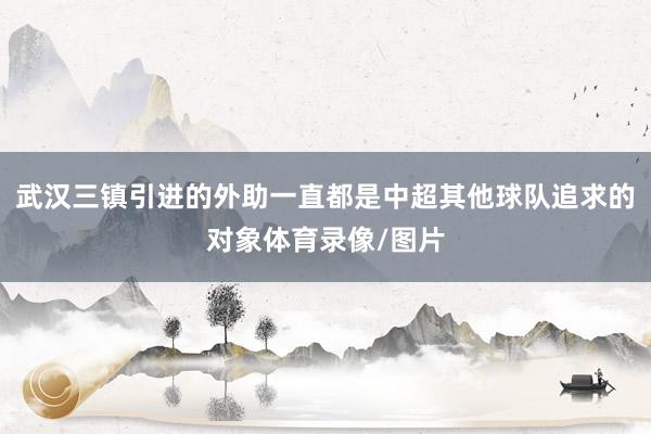 武汉三镇引进的外助一直都是中超其他球队追求的对象体育录像/图片