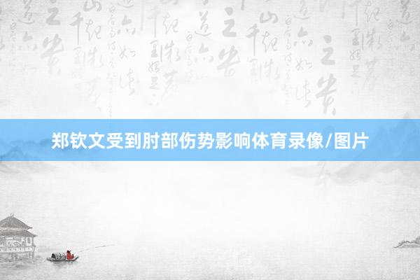 郑钦文受到肘部伤势影响体育录像/图片