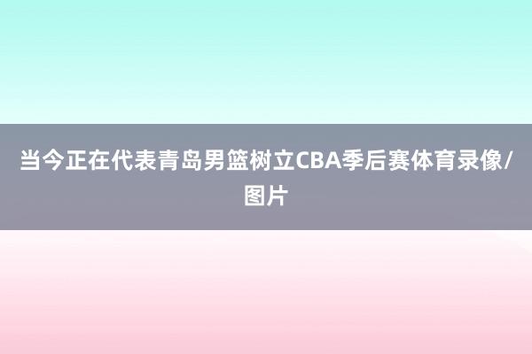 当今正在代表青岛男篮树立CBA季后赛体育录像/图片