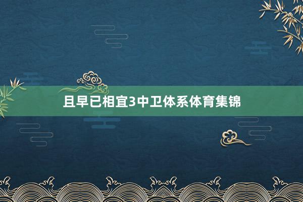 且早已相宜3中卫体系体育集锦