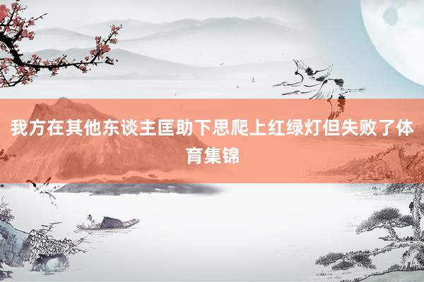 我方在其他东谈主匡助下思爬上红绿灯但失败了体育集锦