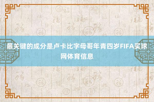 最关键的成分是卢卡比字母哥年青四岁FIFA买球网体育信息