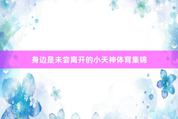 身边是未尝离开的小天神体育集锦