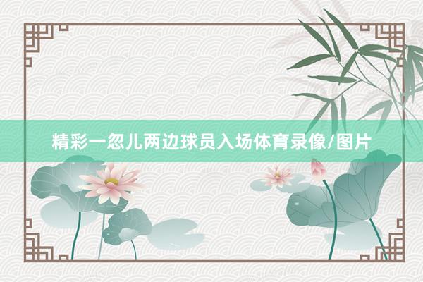 精彩一忽儿两边球员入场体育录像/图片