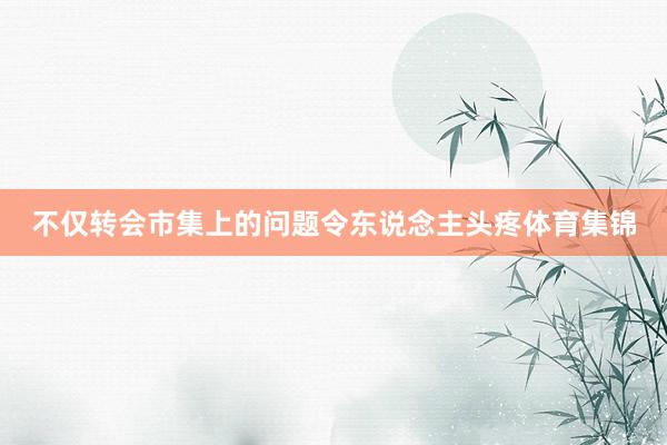 不仅转会市集上的问题令东说念主头疼体育集锦