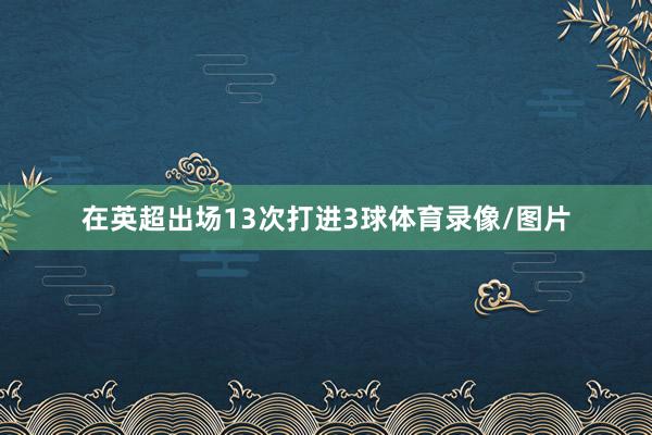 在英超出场13次打进3球体育录像/图片