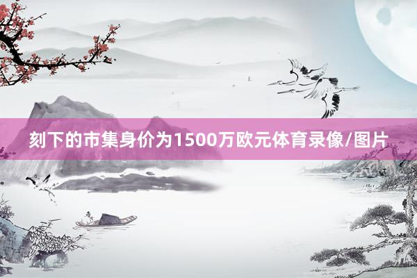 刻下的市集身价为1500万欧元体育录像/图片