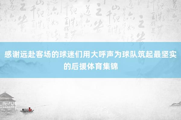 感谢远赴客场的球迷们用大呼声为球队筑起最坚实的后援体育集锦