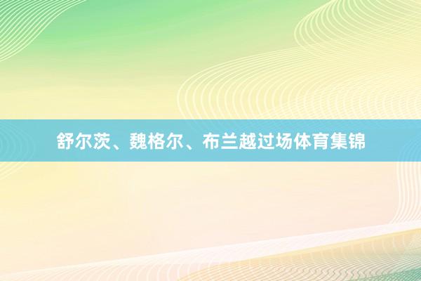 舒尔茨、魏格尔、布兰越过场体育集锦