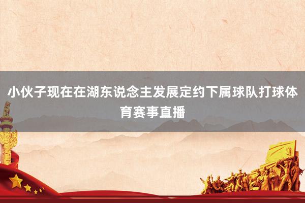 小伙子现在在湖东说念主发展定约下属球队打球体育赛事直播