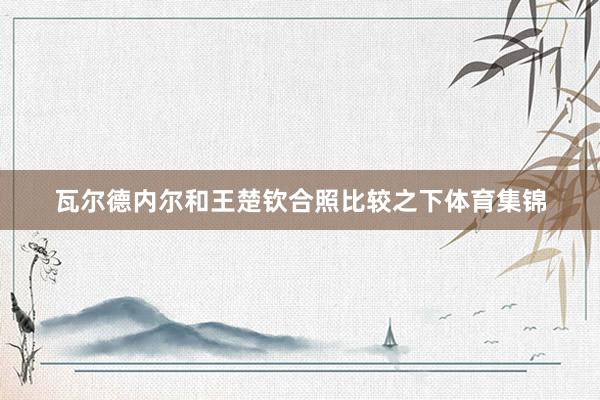 瓦尔德内尔和王楚钦合照比较之下体育集锦