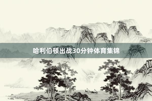 哈利伯顿出战30分钟体育集锦