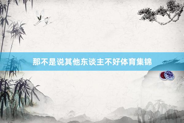 那不是说其他东谈主不好体育集锦