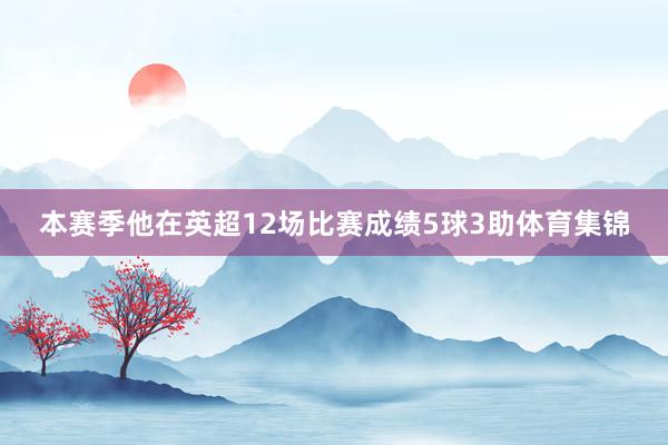 本赛季他在英超12场比赛成绩5球3助体育集锦