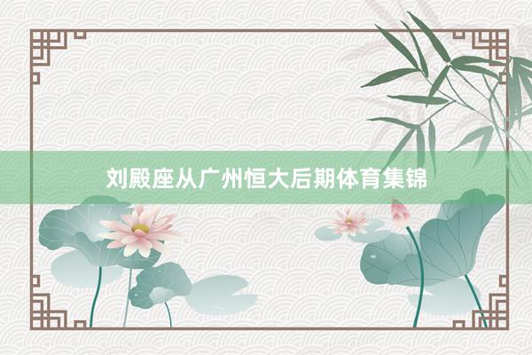 刘殿座从广州恒大后期体育集锦
