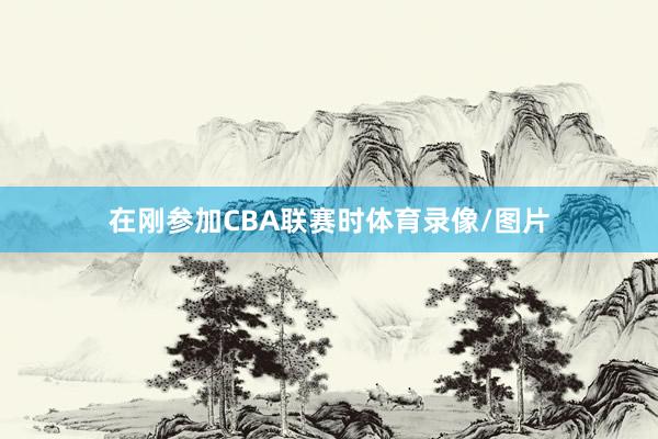 在刚参加CBA联赛时体育录像/图片