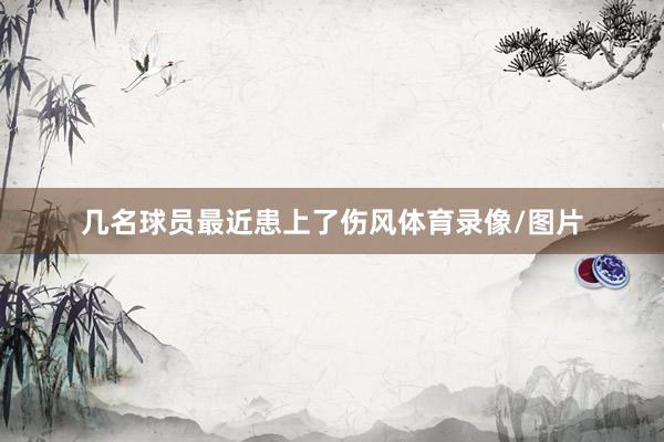 几名球员最近患上了伤风体育录像/图片