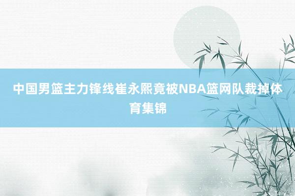 中国男篮主力锋线崔永熙竟被NBA篮网队裁掉体育集锦