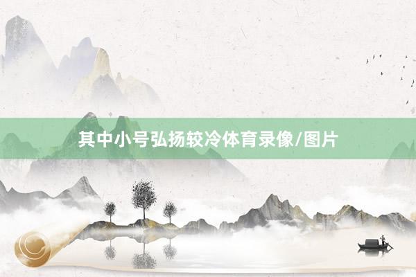 其中小号弘扬较冷体育录像/图片