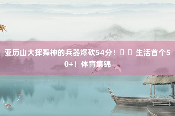亚历山大挥舞神的兵器爆砍54分！⚡️生活首个50+！体育集锦