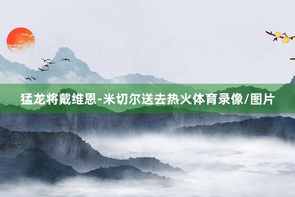 猛龙将戴维恩-米切尔送去热火体育录像/图片