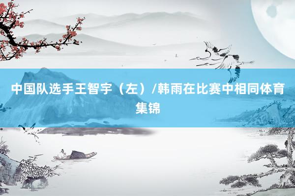 中国队选手王智宇（左）/韩雨在比赛中相同体育集锦