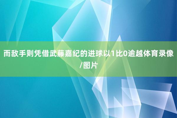 而敌手则凭借武藤嘉纪的进球以1比0逾越体育录像/图片