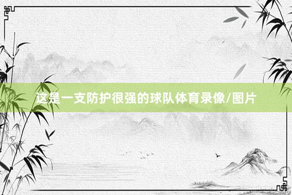 这是一支防护很强的球队体育录像/图片