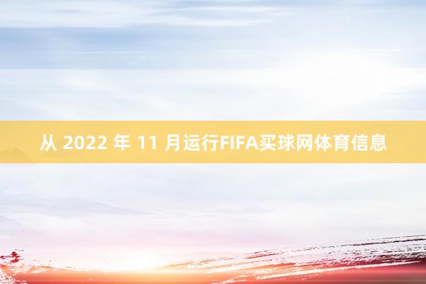 从 2022 年 11 月运行FIFA买球网体育信息