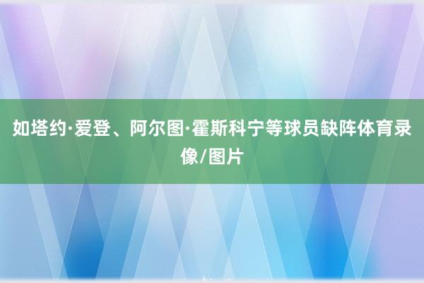 如塔约·爱登、阿尔图·霍斯科宁等球员缺阵体育录像/图片