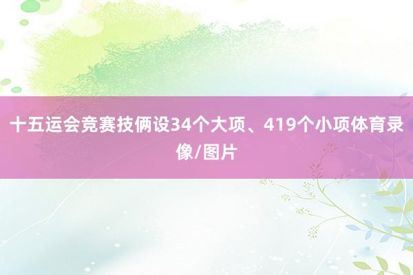 十五运会竞赛技俩设34个大项、419个小项体育录像/图片