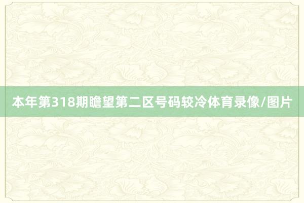 本年第318期瞻望第二区号码较冷体育录像/图片
