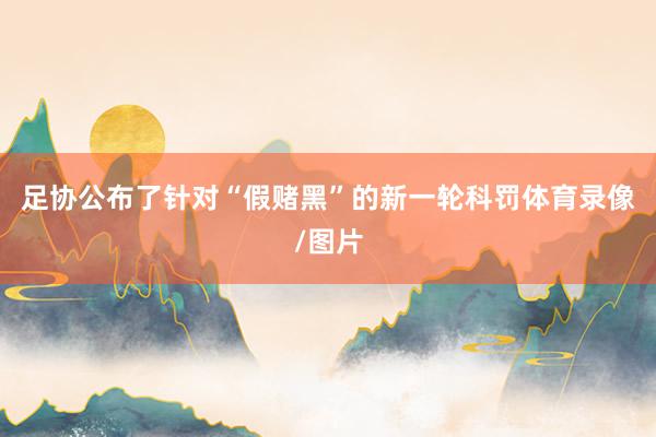 足协公布了针对“假赌黑”的新一轮科罚体育录像/图片