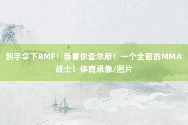 到手拿下BMF！恭喜你查尔斯！一个全面的MMA战士！体育录像/图片